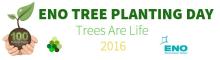 Akcja 100 milionów drzew do 2017 roku