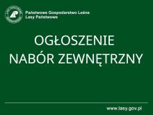 NADLEŚNICZY NADLEŚNICTWA KACZORY OGŁASZA NABÓR ZEWNĘTRZNY NA STANOWISKO PRACY SPECJALISTA DS. INFORMATYKI – ASI