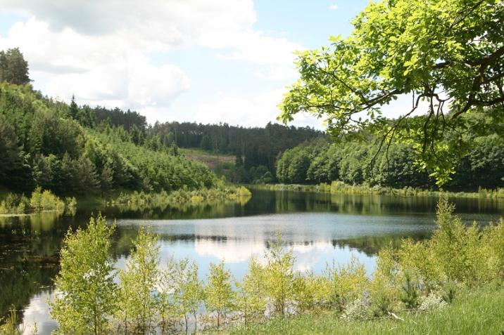fot. Bogdan Lach. "Jezioro Linki"