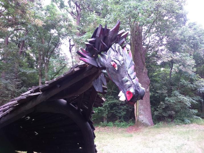 fot. Adam Przypaśniak